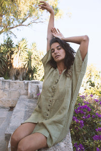 Aranya Dress in Olive